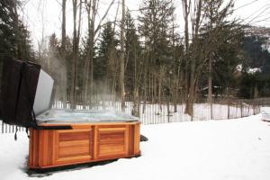 Chalet des Amis appt 1 - Chamonix All Year