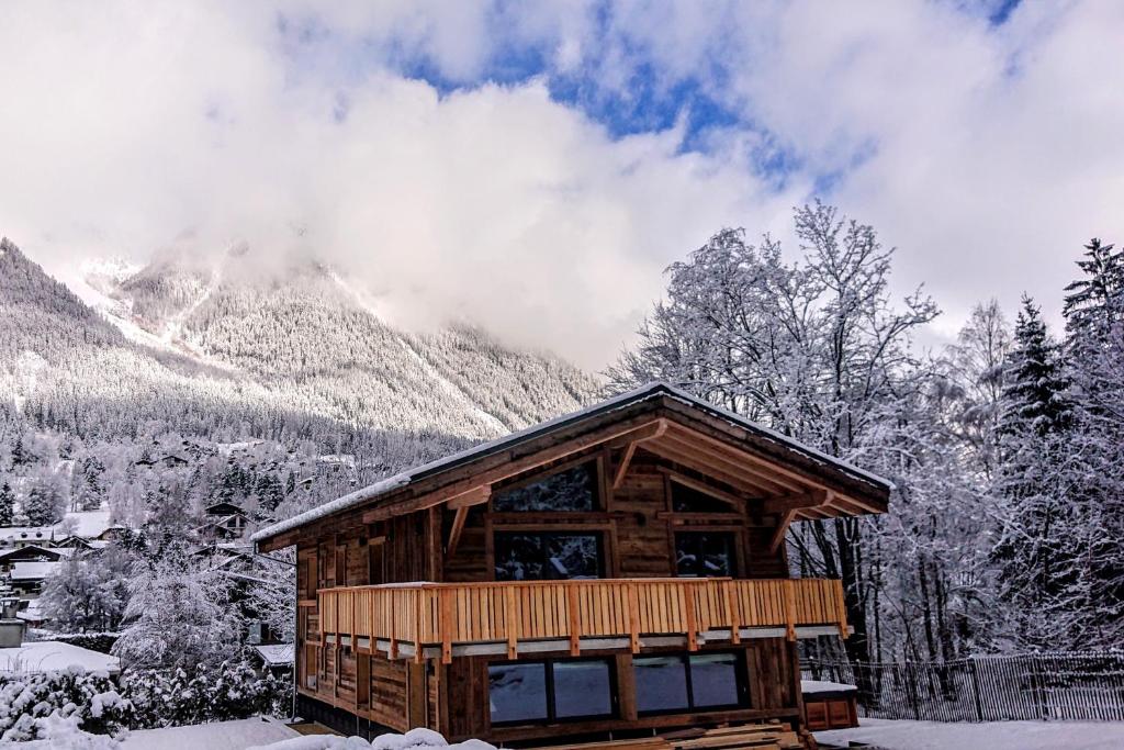 Appartement Chalet des Amis- Chamonix All Year 851 Promenade Marie Paradis 74400 Chamonix-Mont-Blanc