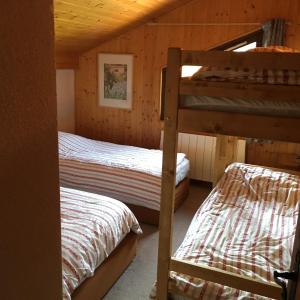 CHALET DES NEIGES