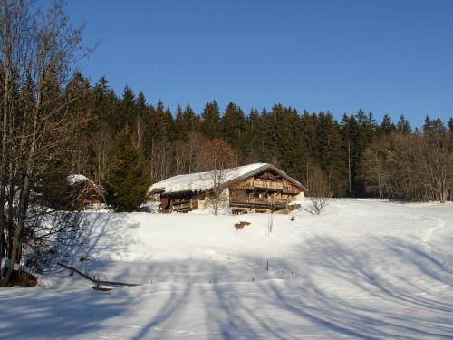Chalet devant le bois