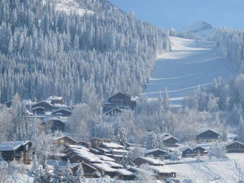 Chalet Les Trappeurs