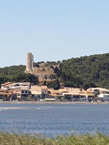 Appartement chalet typique 50 m de la mer Rue des Cormorans Tr 11430 Gruissan Languedoc-Roussillon