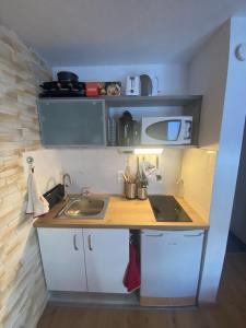 Chaleureux appartement rénové ambiance chalet