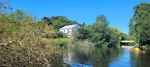 Chambre dans cabane vue sur la rivière avec PdJ