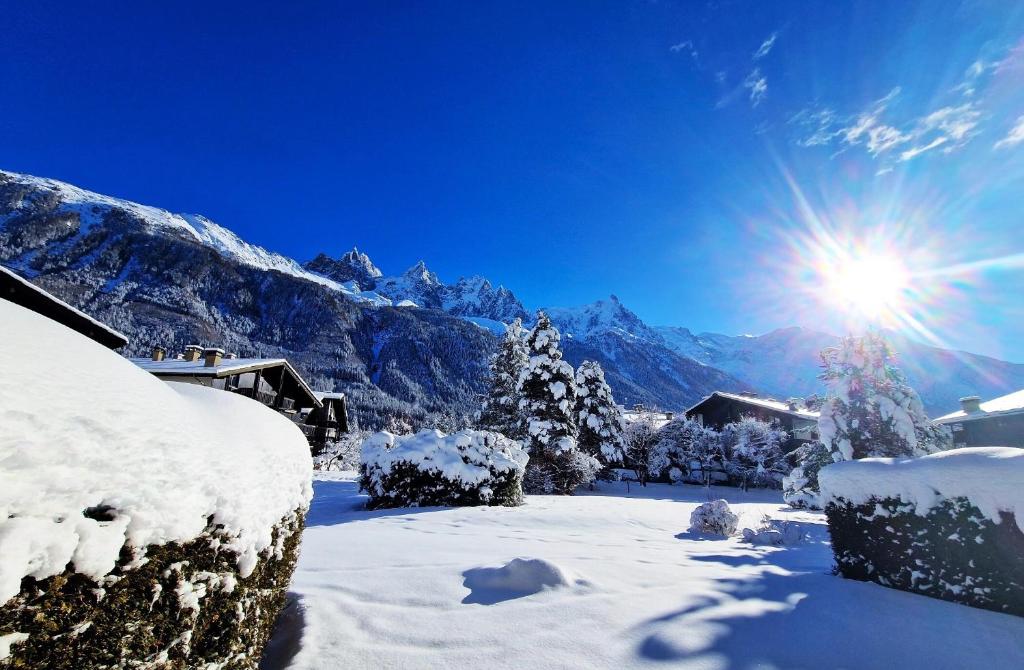 Chamonix Appartement Vue Mont Blanc avec Jardin 267 chemin de Champraz, 74400 Chamonix-Mont-Blanc