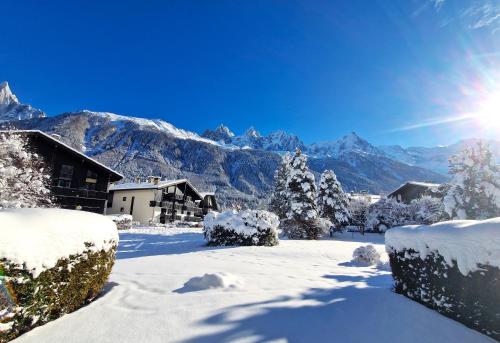Chamonix Appartement Vue Mont Blanc avec Jardin