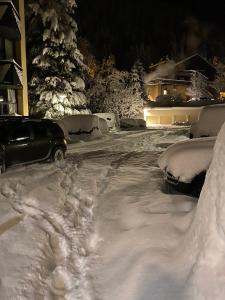 Chamonix Argentière, duplex cosy face au Mt Blanc