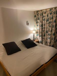 Chamonix Argentière, duplex cosy face au Mt Blanc