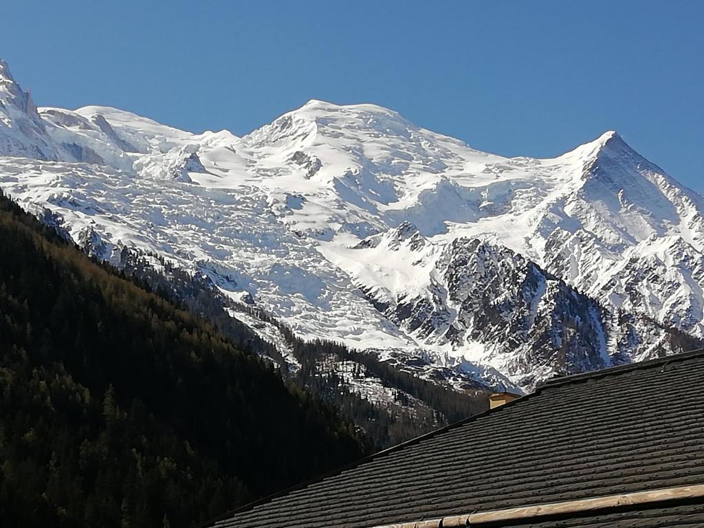 Champalo Apartment 314 La Riviere 187 Promenade Marie Paradis, 74400 Chamonix-Mont-Blanc