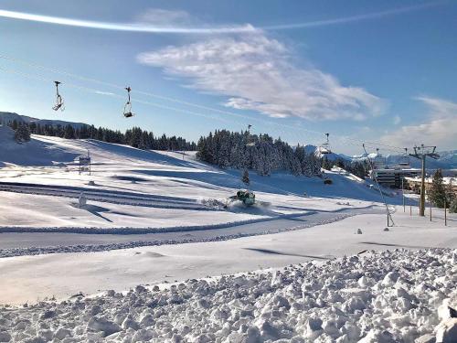 Appartement Appartement Chamrousse, 2 pièces, 6 personnes - FR-1-549-49 534 Avenue du Père Tassé ROCHE BERANGER Chamrousse