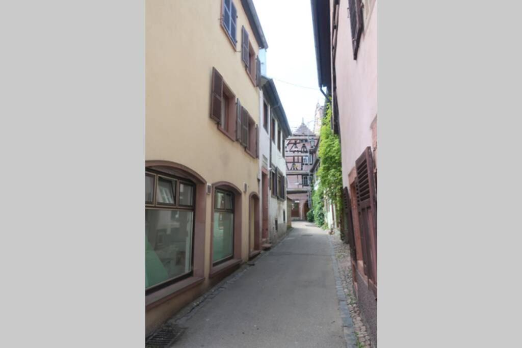 CHARM APARTMENTS PORTO - Centro Batalha 2