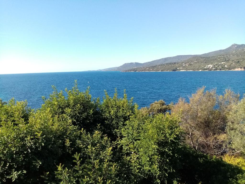 Charmant 2 pièces au cœur des Golfs de Saint Raphael 83700 Saint-Raphaël