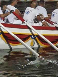 Charmant 2 pièces les pieds dans l'eau