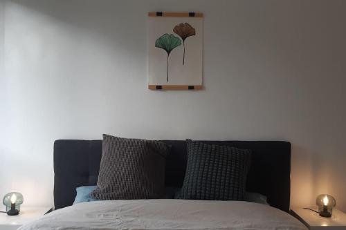 Charmant Appartement 55 m 2