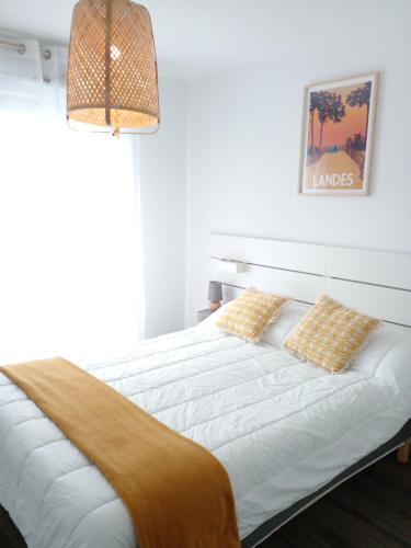 Charmant appartement à 150 m de l'océan et proche du Golf Moliets-Plage
