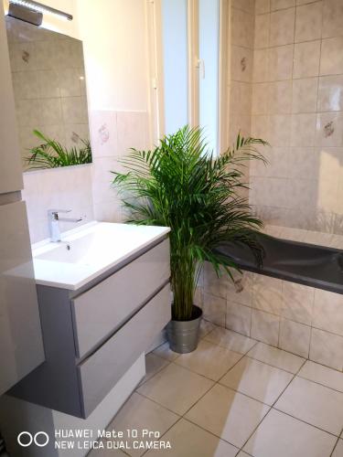 charmant appartement ancien