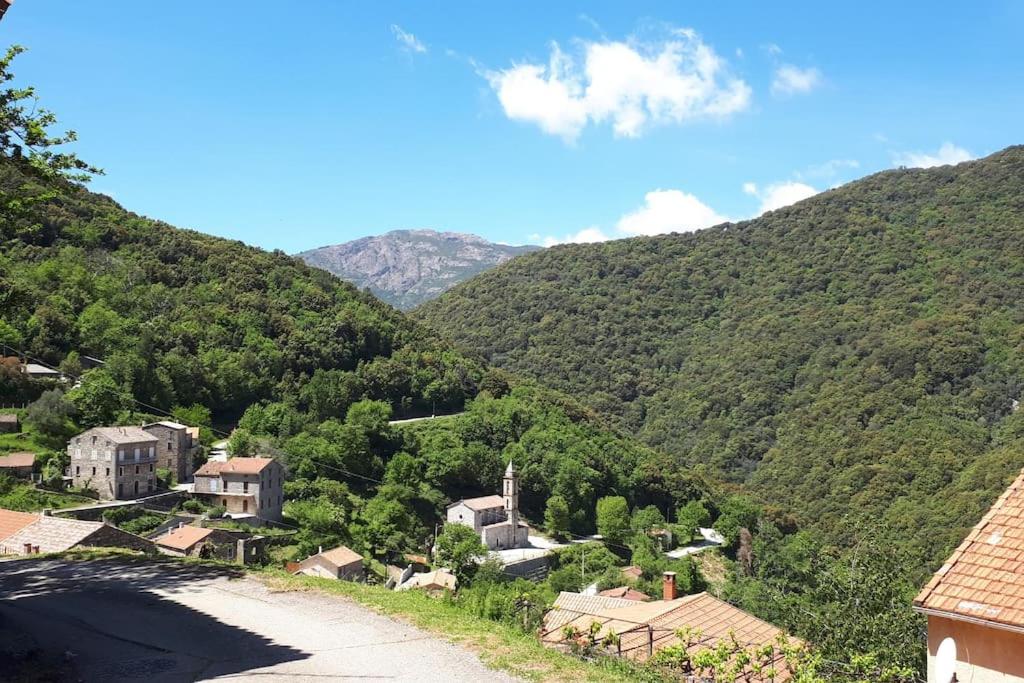 Appartement Charmant appartement au cœur de la montagne Corse Colliciolo 20112 Zoza