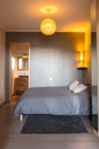 Charmant appartement au cœur de Nantes