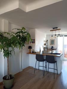 Charmant appartement, au calme, proche de la plage