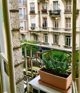 Appartement Charmant appartement au centre de Nice 23 Boulevard Raimbaldi 06000 Nice Provence-Alpes-Côte d\'Azur