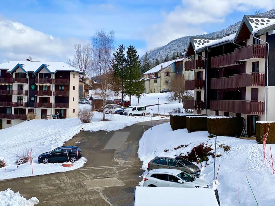 Charmant appartement au pied des pistes de Lelex Résidence les Mars, 01410 Lélex