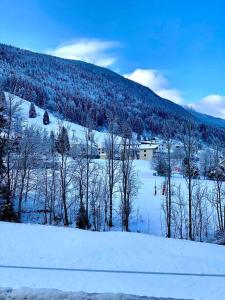 Charmant appartement au pied des pistes de Lelex
