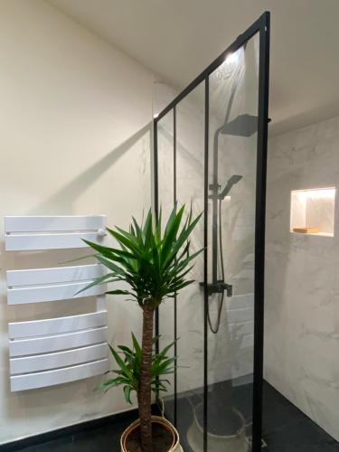 Charmant appartement avec SPA