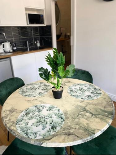 Charmant appartement avec vue exceptionnelle - plein cœur de Lyon