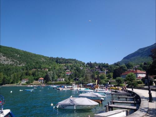 Charmant appartement avec vue lac