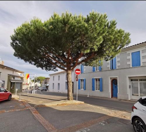 Charmant appartement dans centre Meschers/Gironde