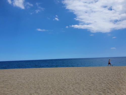 Charmant appartement en bord de mer