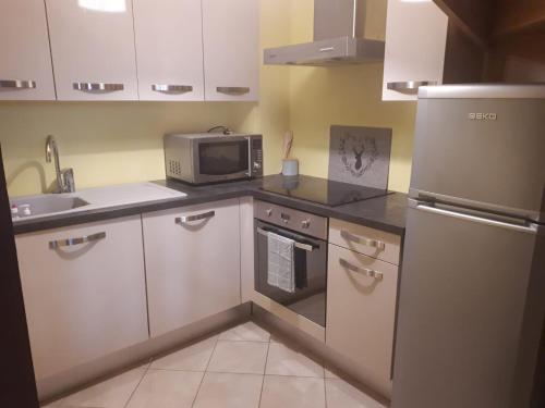 Charmant appartement, en plein centre des rousses.