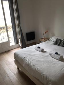 Charmant appartement hyper centre Comédie
