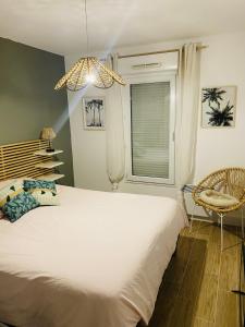 Charmant appartement paisible et cosy T2