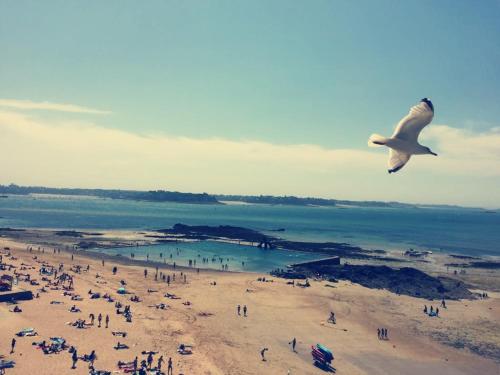 Charmant Appartement Saint Malo Saint Servan