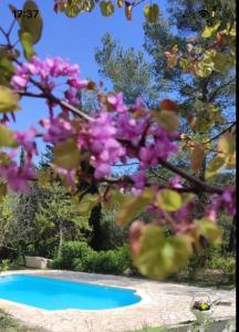 Charmant deux-pièces dans villa avec piscine privée