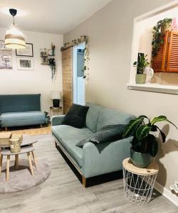 Charmant et Cosy T2 Toulousain