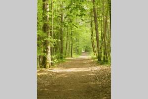 Charmant F2 de 30m2 moin cher à 15min à pied de la forêt, et à 25 min de Paris