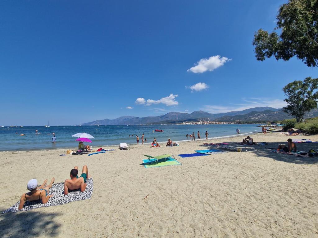 Charmant logement avec piscine à 300 m de la plage L'Avillanella, 20230 Poggio-Mezzana