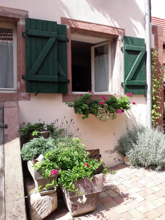 Appartement charmant petit appartement en Alsace 6 RUE DES ROSES 67330 Bouxwiller