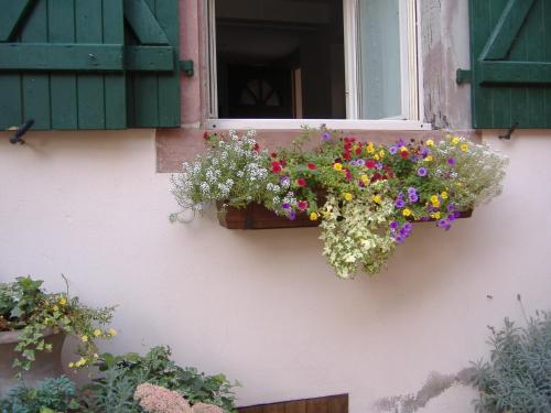 charmant petit appartement en Alsace