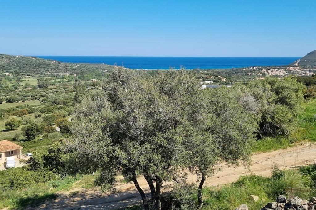 Charmant petit logement à 2 km (2 min) de la plage Lozari, 20226 Belgodère