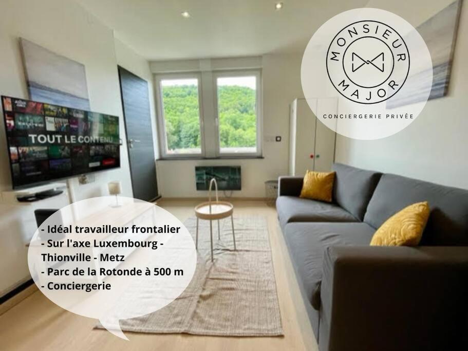 Appartement Charmant Studio 24m2 à la frontière 166 Rue Victor Rimmel 57240 Knutange