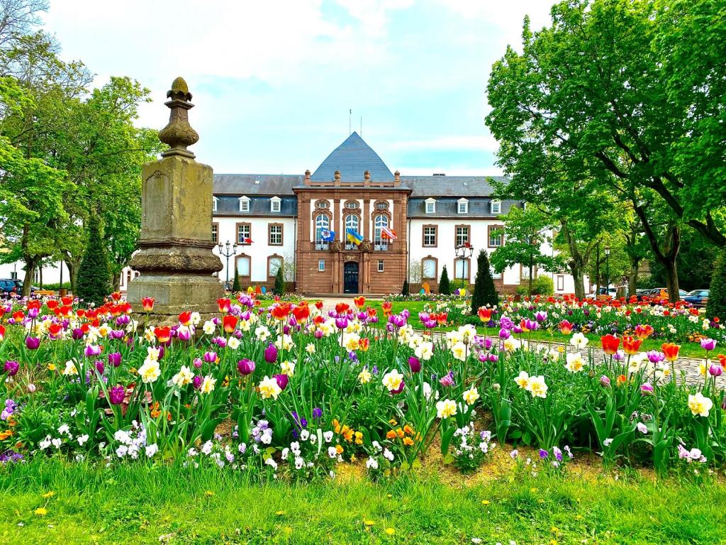 Charmant studio à Haguenau, à 25mn de Strasbourg 1er étage Allée Gustave Huffel, 67500 Haguenau