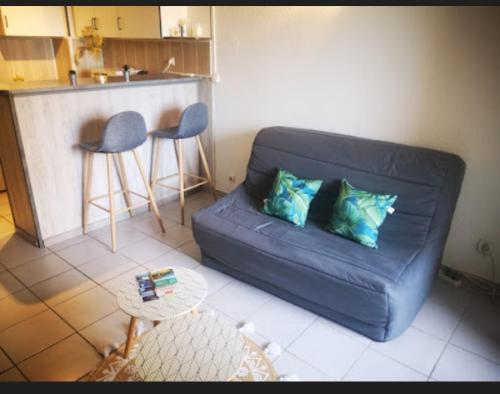 Charmant studio avec accès direct plage