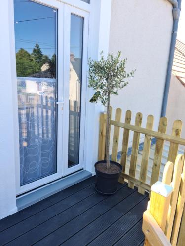 Charmant Studio avec terrasse et cours privé/5