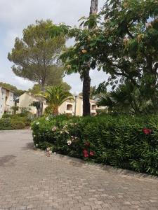Charmant studio dans un havre de verdure