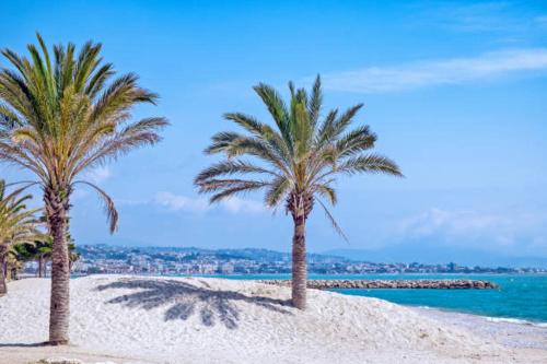 Charmant studio en plein coeur de Cagnes-Sur-Mer