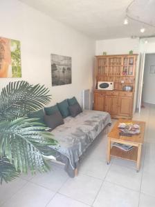 Charmant studio meublé à 250 m de la mer