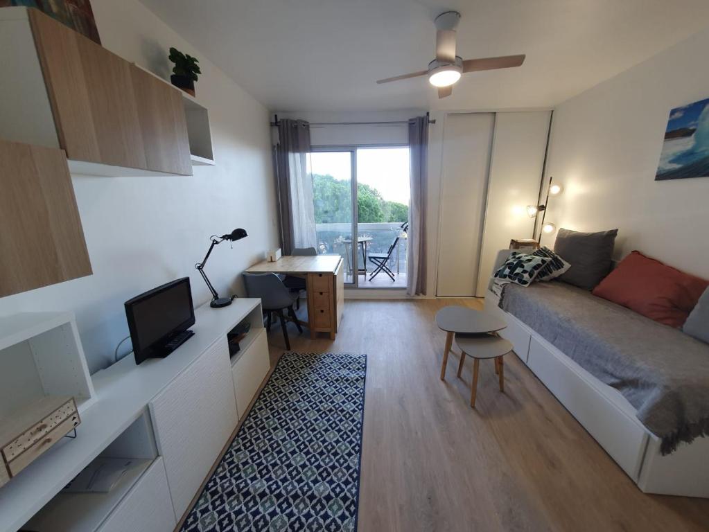 Appartement Charmant studio refait à neuf CARNON port 34 20 Rue du Gregaou - Residence Port Carnon 2 - BT D Appartement 319 34130 Mauguio